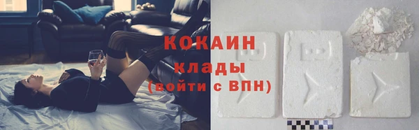 мдпв Верхний Тагил