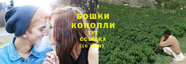 мдпв Верхний Тагил