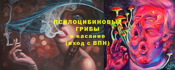 крисы Верхнеуральск