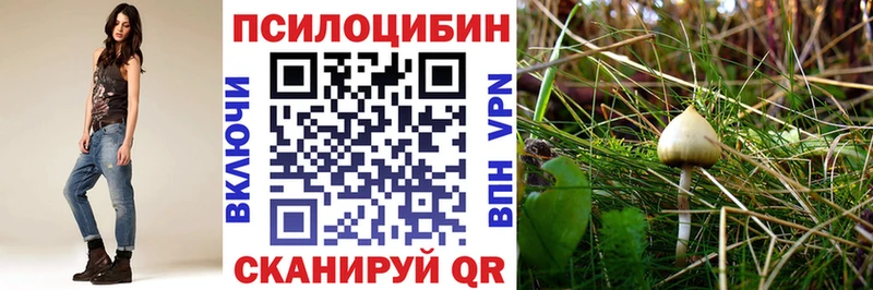 KRAKEN ссылки  Архангельск  Галлюциногенные грибы Magic Shrooms 