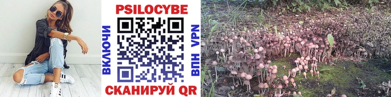 Псилоцибиновые грибы мицелий Архангельск